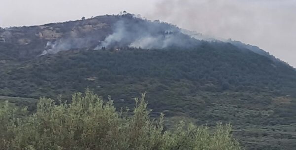 Συνελήφθη 51χρονος για τη φωτιά στην Άμπελο Αχαΐας