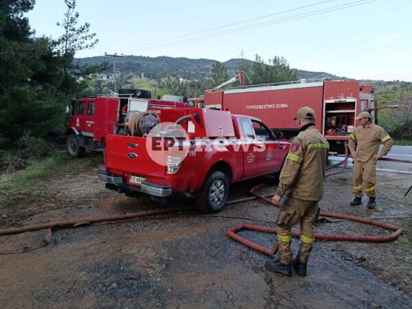 Περιορίστηκε η φωτιά στο Νεοχώρι Πηλίου