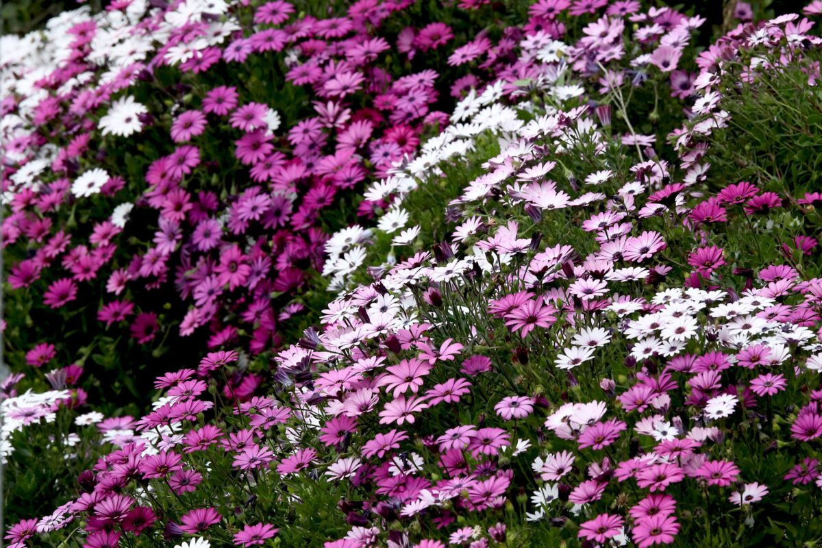 Εορτολόγιο: Ποιοι γιορτάζουν σήμερα, 25 Απριλίου