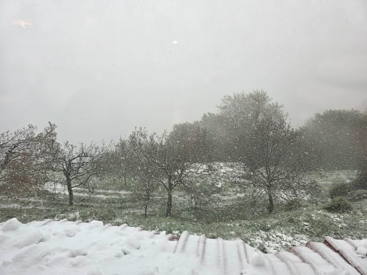 Πυκνή χιονόπτωση στα Χάνια Πηλίου
