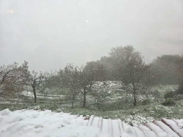 Πυκνή χιονόπτωση στα Χάνια Πηλίου