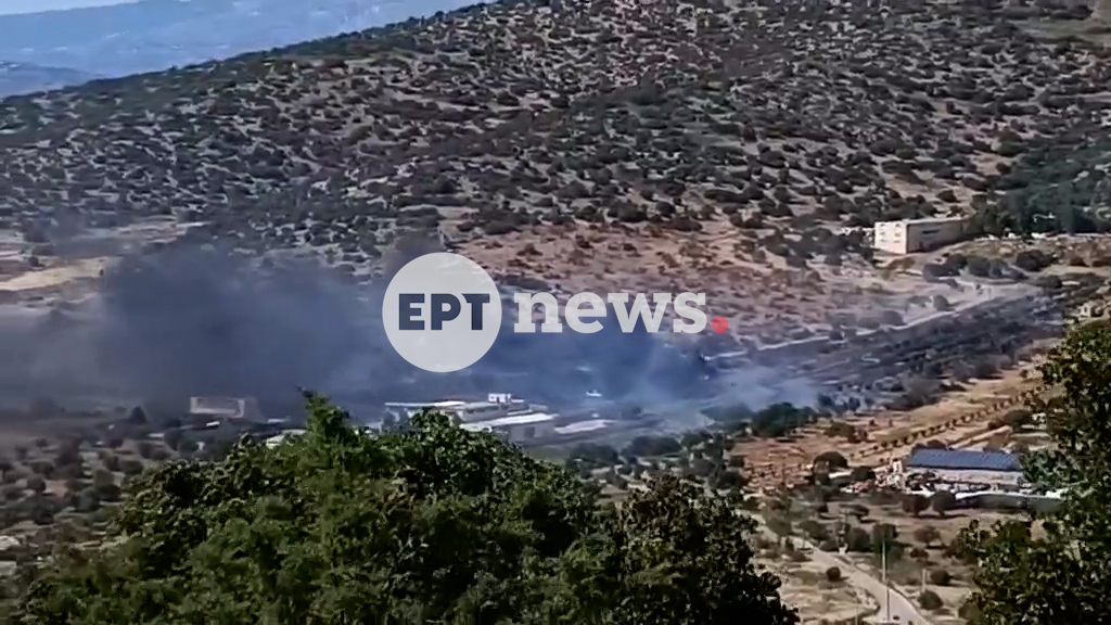 Φωτιά στα Καλύβια σε χαμηλή βλάστηση – Επιχειρεί ελικόπτερο