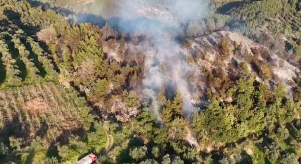 Ενημερωτική καμπάνια για τον καθαρισμό οικοπέδων και την πρόληψη πυρκαγιών