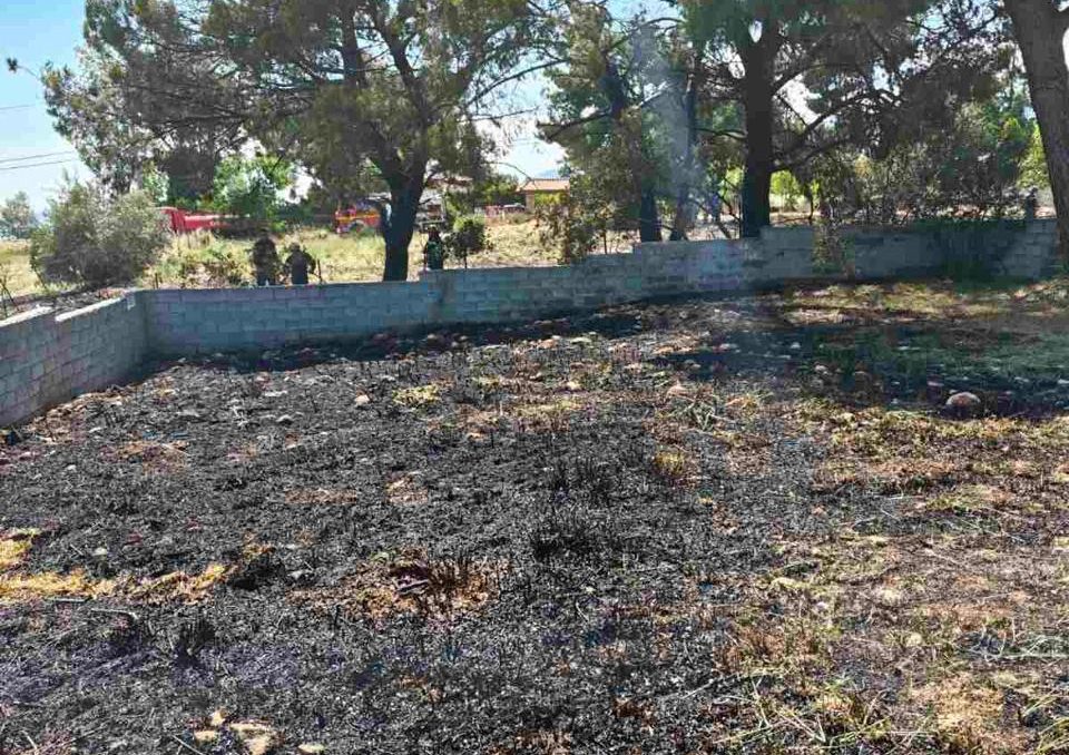 Σύλληψη 89χρονου για πυρκαγιά από αμέλεια στο Κρυονέρι – Πρόστιμο 2.578 ευρώ από την Πυροσβεστική