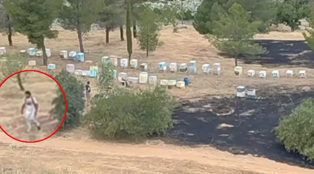 Άλσος Βεΐκου: Βίντεο-ντοκουμέντο δείχνει μελισσοκόμο να απομακρύνεται όταν οριοθετήθηκε η φωτιά – Ταυτοποιήθηκε και αναζητείται
