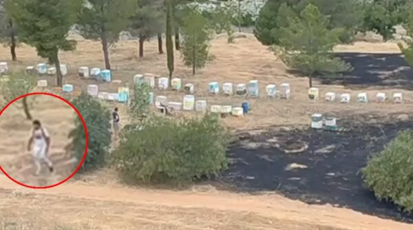 Άλσος Βεΐκου: Βίντεο-ντοκουμέντο δείχνει μελισσοκόμο να απομακρύνεται όταν οριοθετήθηκε η φωτιά – Ταυτοποιήθηκε και αναζητείται