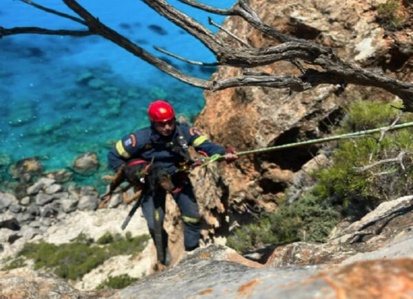 Ζάκυνθος: Πυροσβέστες σε γκρεμό για διάσωση σκύλου