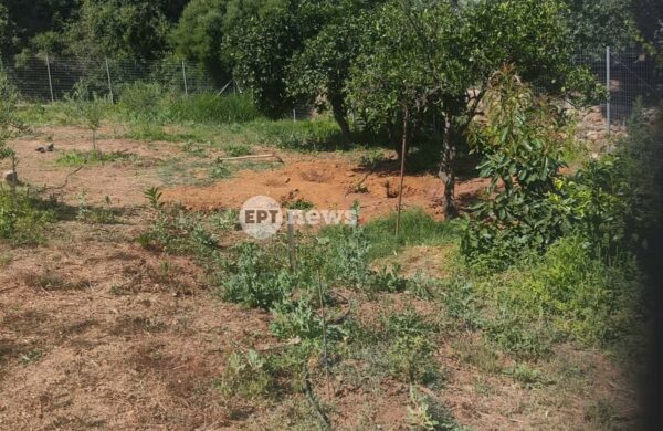 Δολοφονία Σταυρούλας Λεβεντάκη: Όλο το χρονικό του εγκλήματος – Καβγά επικαλείται ο δράστης, τα σενάρια για το κίνητρο που εξετάζουν οι αρχές