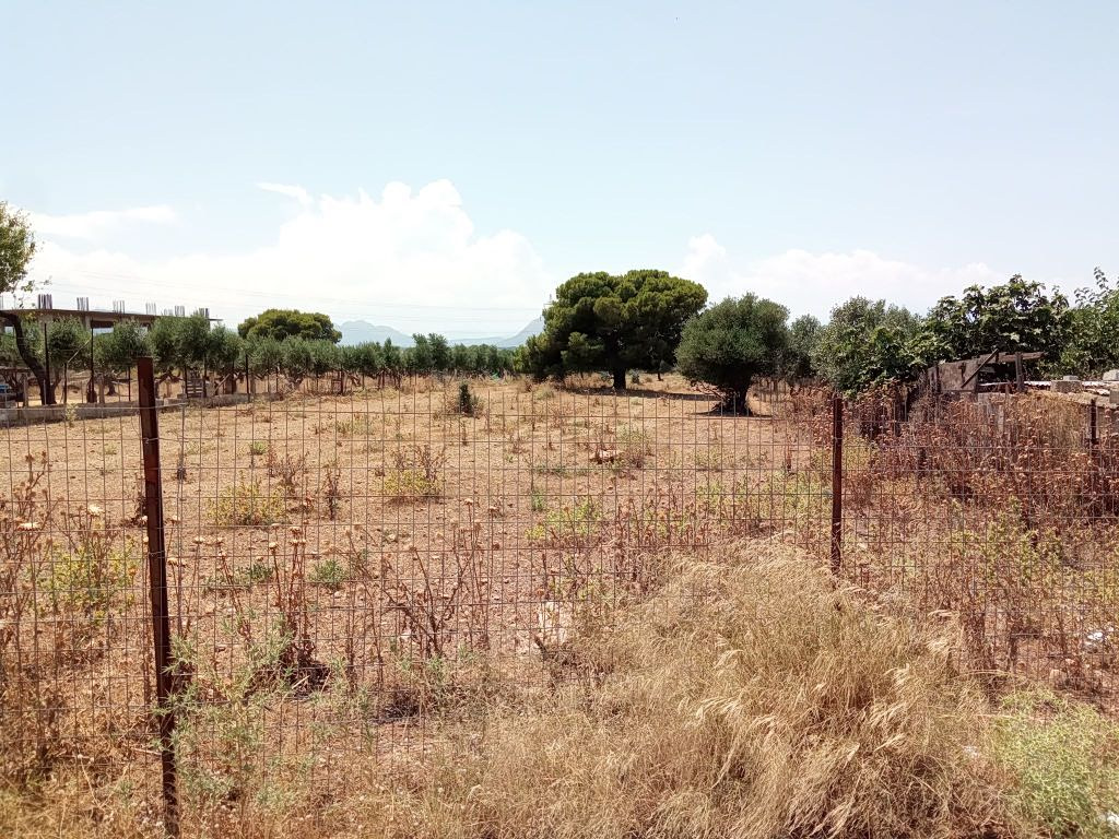 ΠΟΜΙΔΑ για καθαρισμό οικοπέδων: Δέκα πρακτικές οδηγίες μετά τη λήξη της προθεσμίας