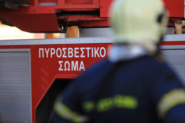 Φωτιά στον Ορχομενό Βοιωτίας – Ισχυρές πυροσβεστικές δυνάμεις στο σημείο, δεν απειλούνται κατοικημένες περιοχές