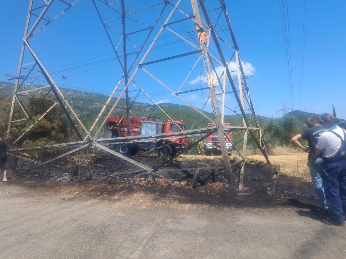 Ναύπακτος: Υπό έλεγχο η φωτιά στην Κάτω Μαμουλάδα – Στο «παρά πέντε» δεν κινδύνευσαν σπίτια και πυλώνας της ΔΕΗ