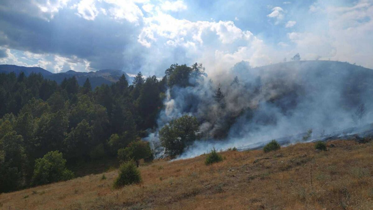 Ηλεία: Φωτιά τώρα στη Βάρδα