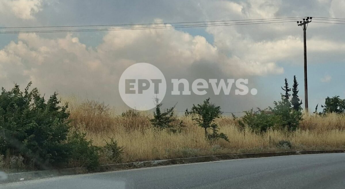 Θεσσαλονίκη: Σε εξέλιξη η φωτιά στο Δερβένι – Μήνυμα για προληπτική εκκένωση κατοικιών στη Λητή – Εντοπίστηκε σορός
