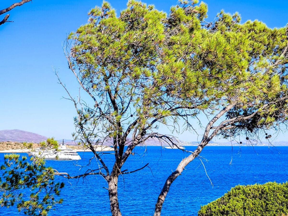 Καιρός: Με ήπιες θερμοκρασίες συνεχίζεται ο Ιούλιος, τοπικές καταιγίδες σήμερα, ενισχύονται οι άνεμοι την Κυριακή – Η πρόγνωση της Ν. Ζιακοπούλου