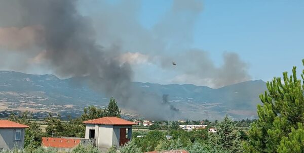 Τρεις νέες συλλήψεις για εμπρησμούς από πρόθεση σε Άνοιξη Αττικής, λόφο Πνύκας Αθήνα και Ηράκλειο Κρήτης