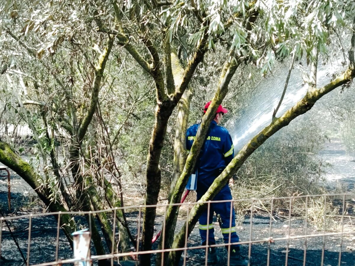 Πυρκαγιά στην Κεφαλονιά: Μεγάλη επιχείρηση κατάσβεσης στα Καλλιγάτα – Μήνυμα από το 112