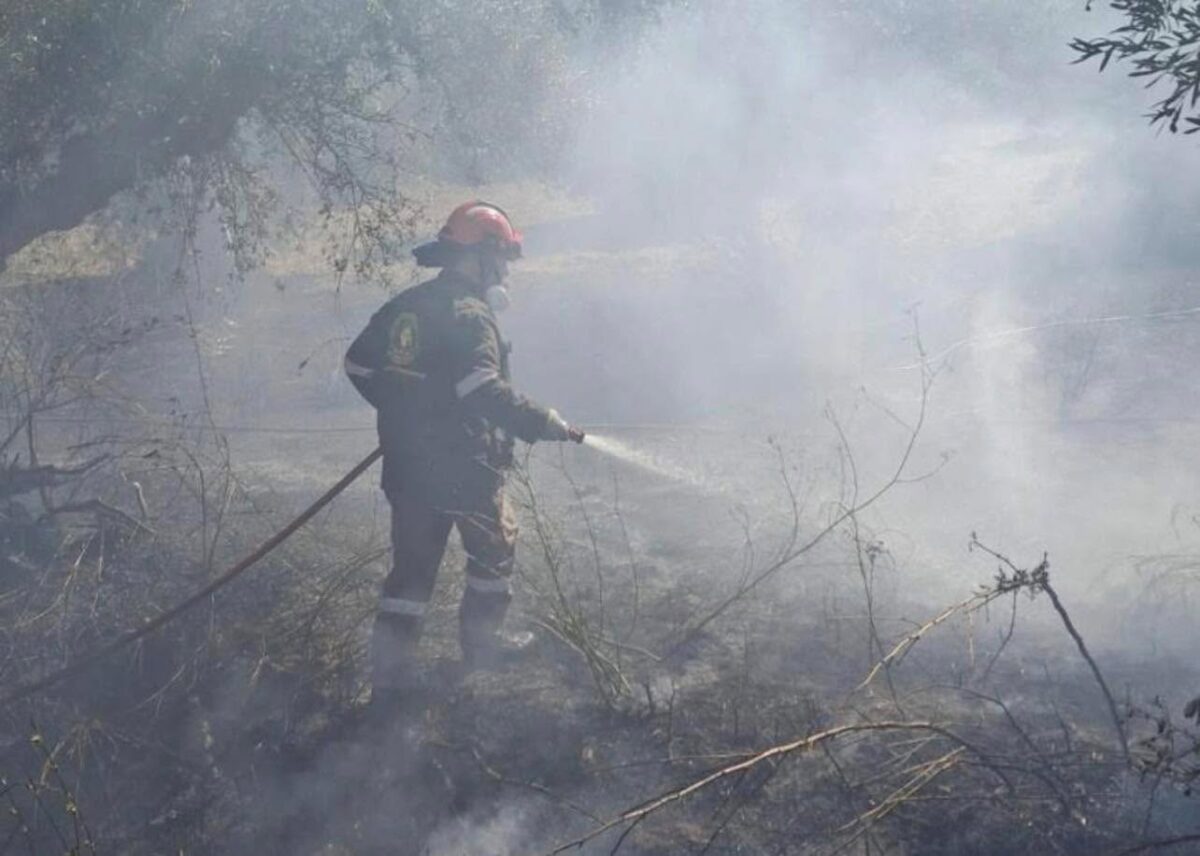 Καλαμάτα: Άμεσα υπό έλεγχο δύο πυρκαγιές σε Αριοχώρι και Ακοβίτικα