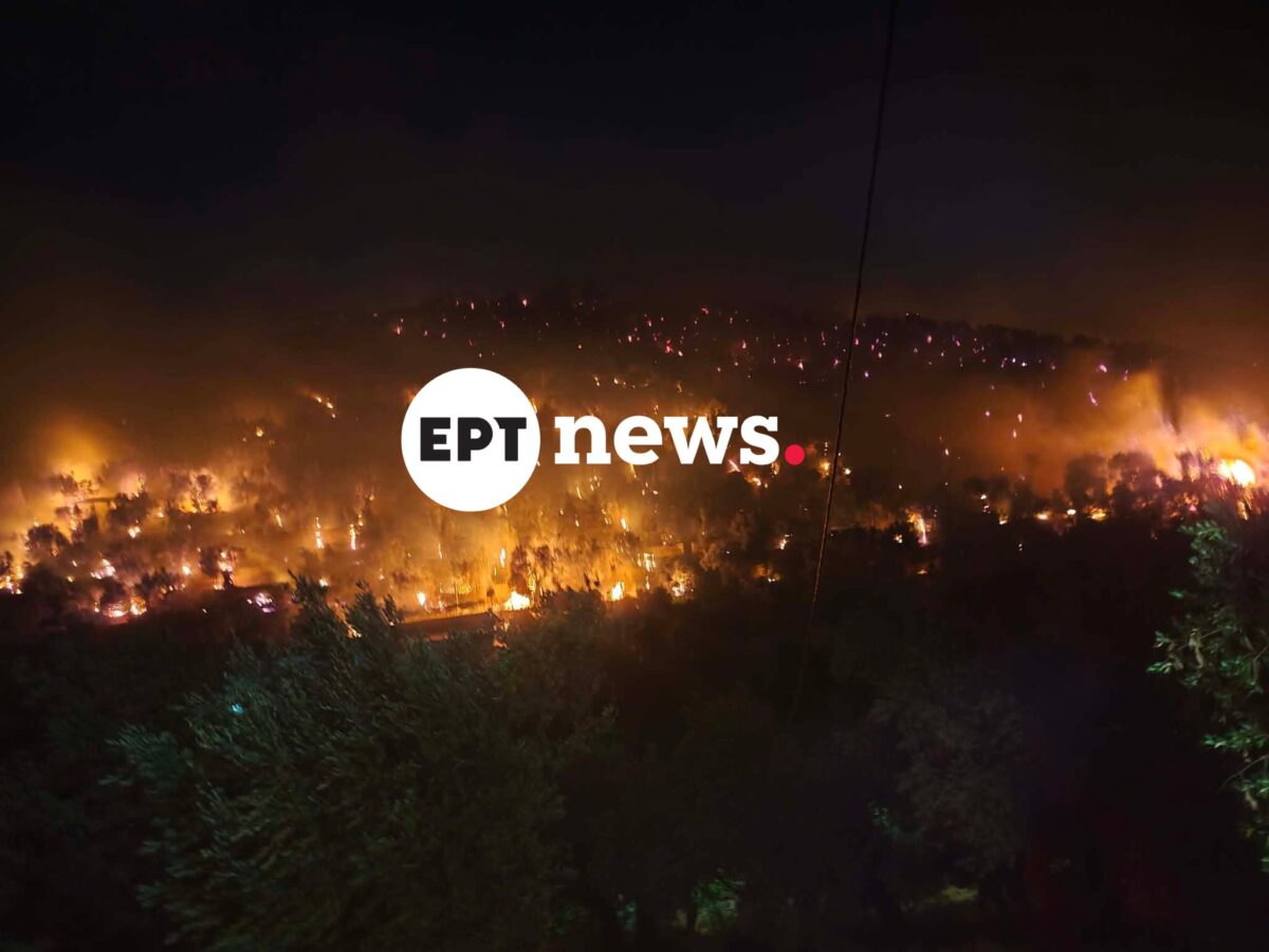 Λέσβος: Σε δύο μέτωπα η φωτιά στο Πλωμάρι – Μάχη με τις αναζωπυρώσεις και τους ισχυρούς ανέμους