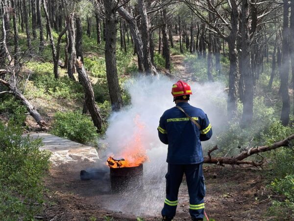 Οκτώ συλλήψεις για τις φωτιές σε Ηράκλειο, Εύβοια, Λακωνία και Πάρο