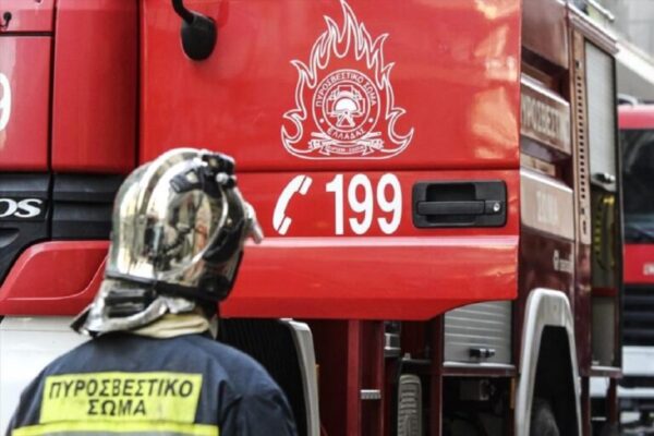 Ήπειρος: Σε επιφυλακή η Πυροσβεστική μετά από τρεις πυρκαγιές σε υπαίθριες εκτάσεις