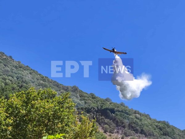 Φωτιά στον Άγιο Λαυρέντιο Πηλίου – Σηκώθηκαν τρία αεροσκάφη