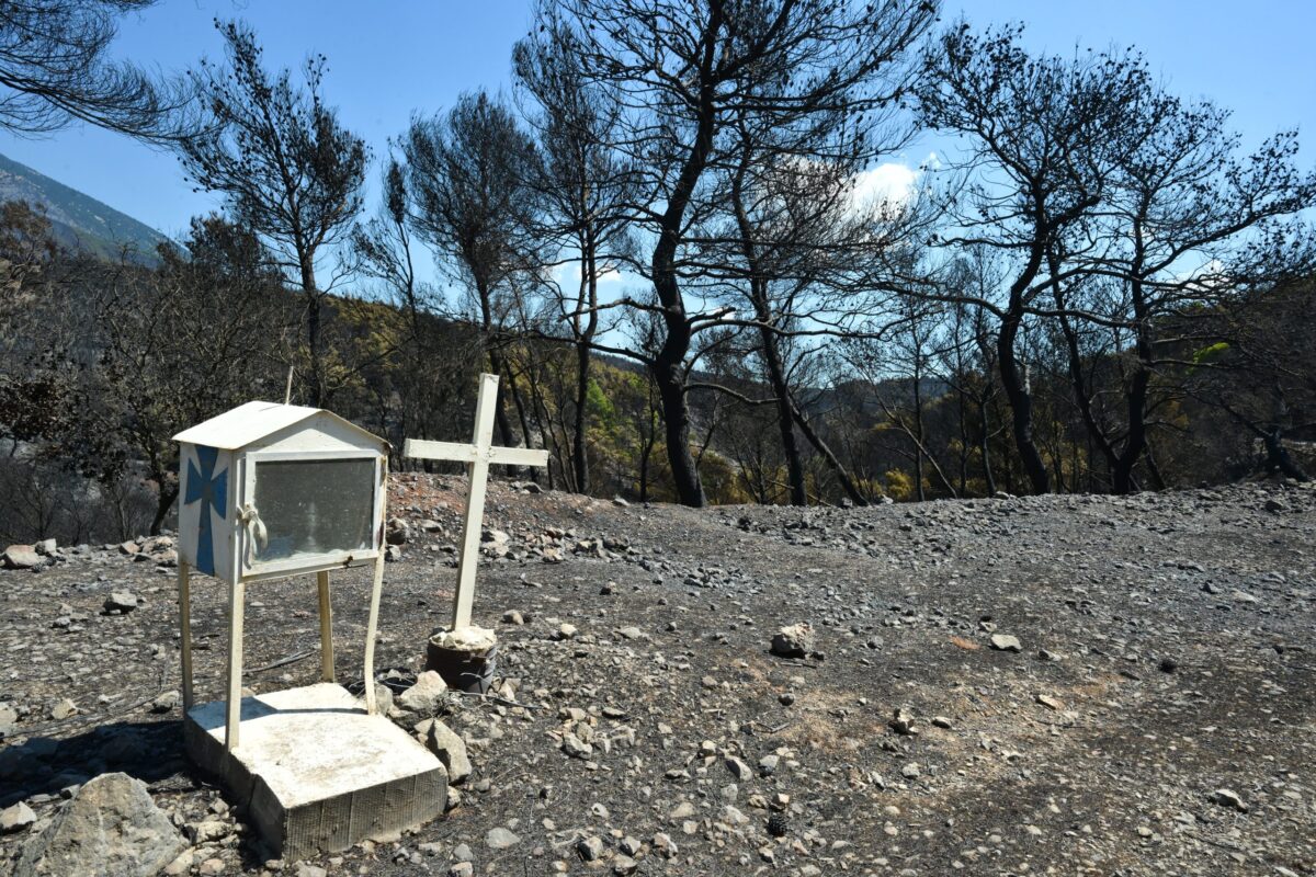 Παράσταση πολιτικής αγωγής από την Περιφέρεια Αττικής για την πυρκαγιά στη Βοιωτία – «Μηδενική ανοχή» στους υπεύθυνους
