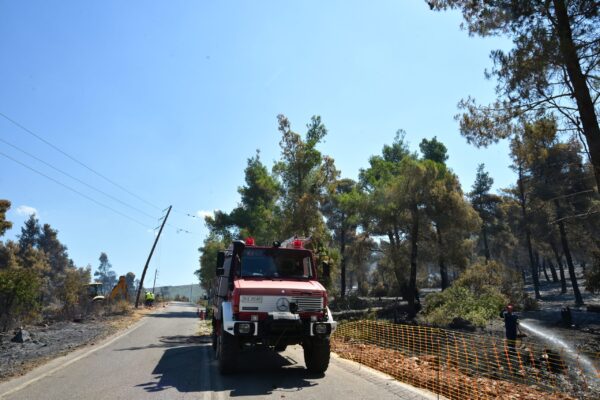 Χαλκιδική: Άμεση η κατάσβεση της πυρκαγιάς στην περιοχή του Πόρτο Καρράς
