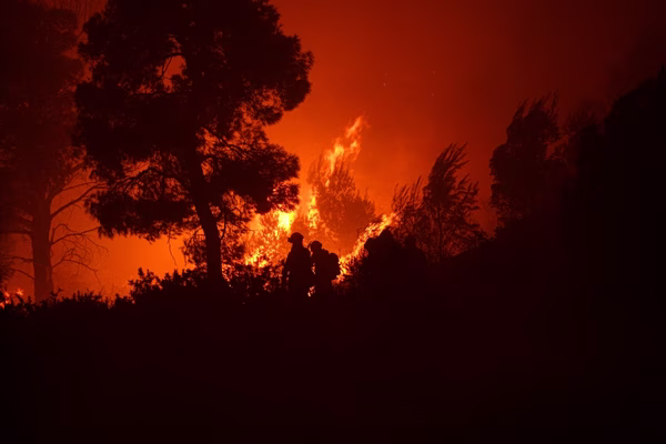 Φωτιές: Πώς η κοντόφθαλμη «πράσινη» πολιτική της ΕΕ «καίει» και την ανάπτυξη