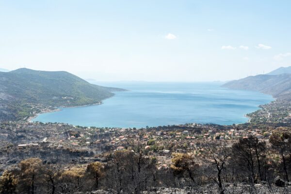 Οδοιπορικό του ΕΡΤnews στη Δυτική Αττική μετά τον πύρινο εφιάλτη – Αγωνιούν κάτοικοι και καταστηματάρχες για την κατακόρυφη μείωση του τουρισμού