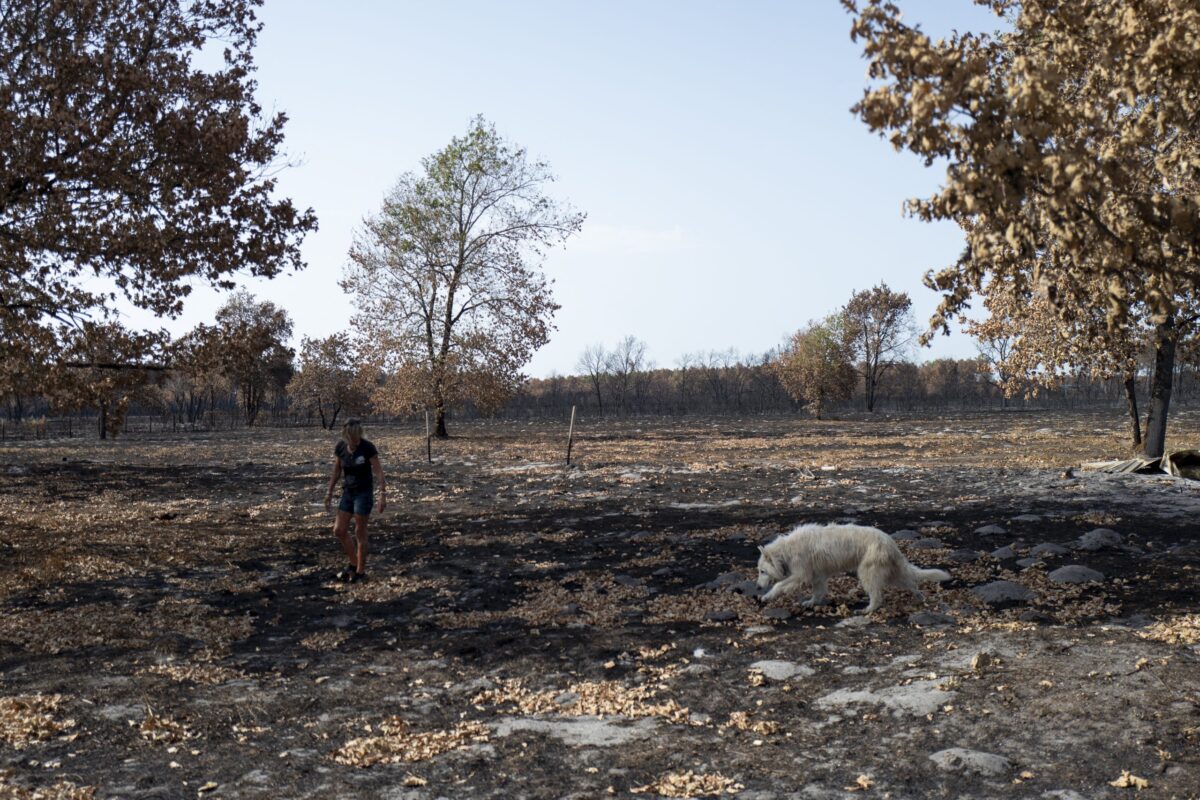 Γαλλία: Οι ακυρώσεις λόγω πυρκαγιών απειλούν την τουριστική σεζόν