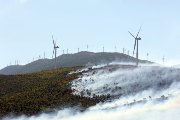 Αιολικά πάρκα: Εισαγγελική έρευνα από τη Δ.Α.Ε.Ε. σε όλη τη χώρα μετά τη φωτιά στη Βοιωτία