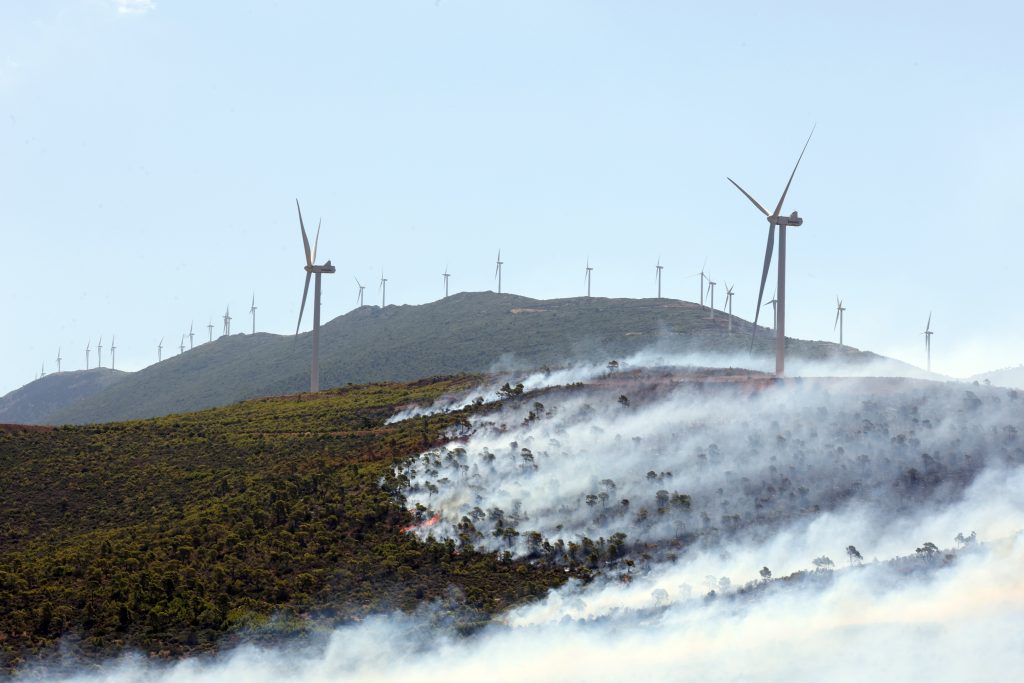 Αιολικά πάρκα: Εισαγγελική έρευνα από τη Δ.Α.Ε.Ε. σε όλη τη χώρα μετά τη φωτιά στη Βοιωτία
