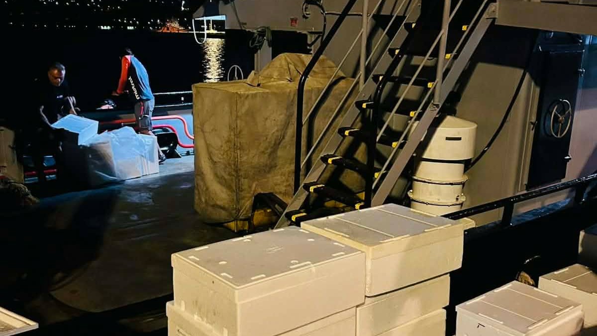 Χανιά: Έκλεβαν ψάρια από τους ιχθυοκλωβούς του ΕΛΚΕΘΕ – Βούτηξε στη θάλασσα για να ξεφύγει ο ένας