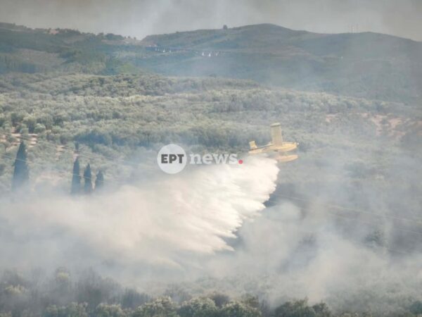 Νέα φωτιά στο Κομπότι Άρτας – Άμεση κινητοποίηση της Πυροσβεστικής