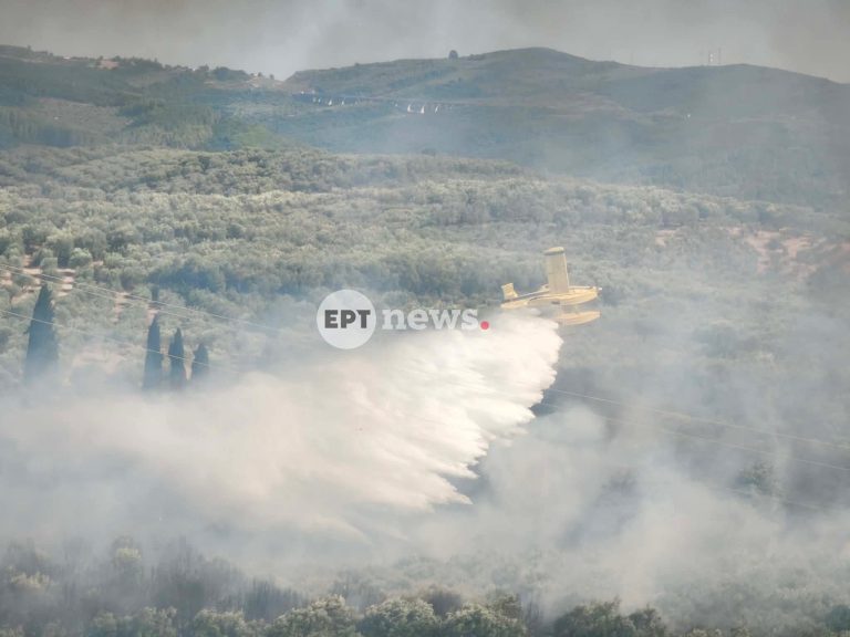 Νέα φωτιά στο Κομπότι Άρτας – Άμεση κινητοποίηση της Πυροσβεστικής
