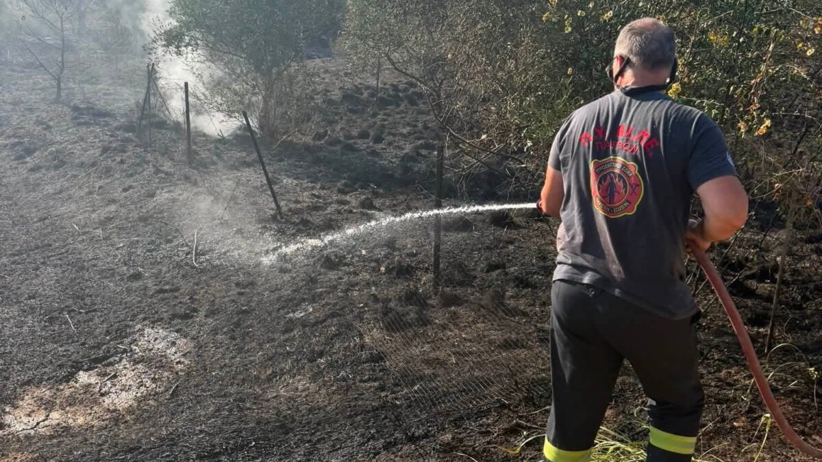 Άμεση οριοθέτηση πυρκαγιάς στη Δυτική Αχαΐα – Συνεχής εγρήγορση λόγω ισχυρών ανέμων