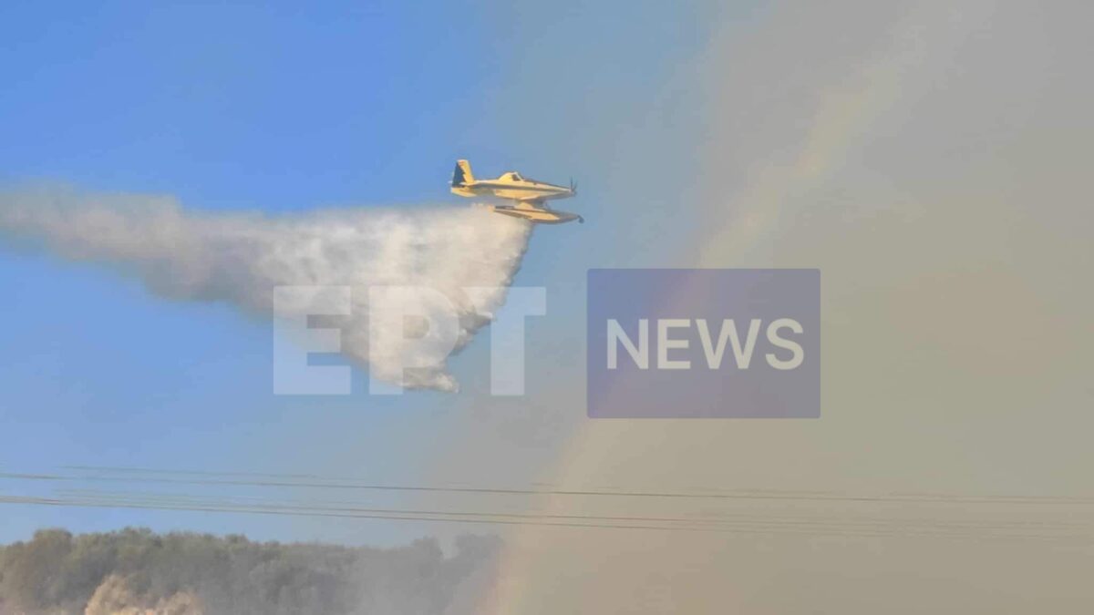 Λευκάδα: Φωτιά σε δασική έκταση στο νησάκι Κάλαμος – Σηκώθηκαν 5 εναέρια μέσα