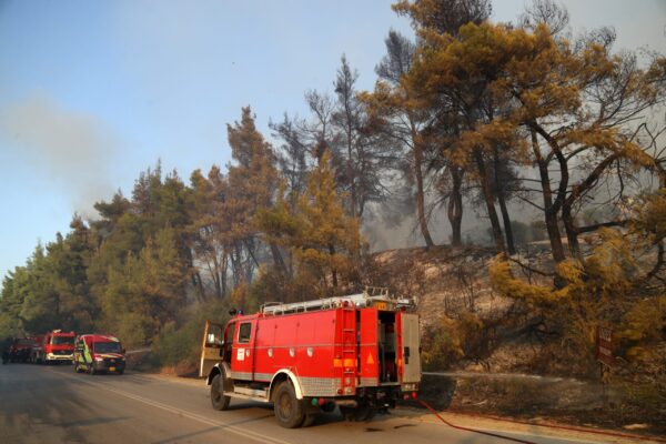 Πυροσβεστική: 53 πυρκαγιές το τελευταίο 24ωρο – Τέσσερις συλλήψεις