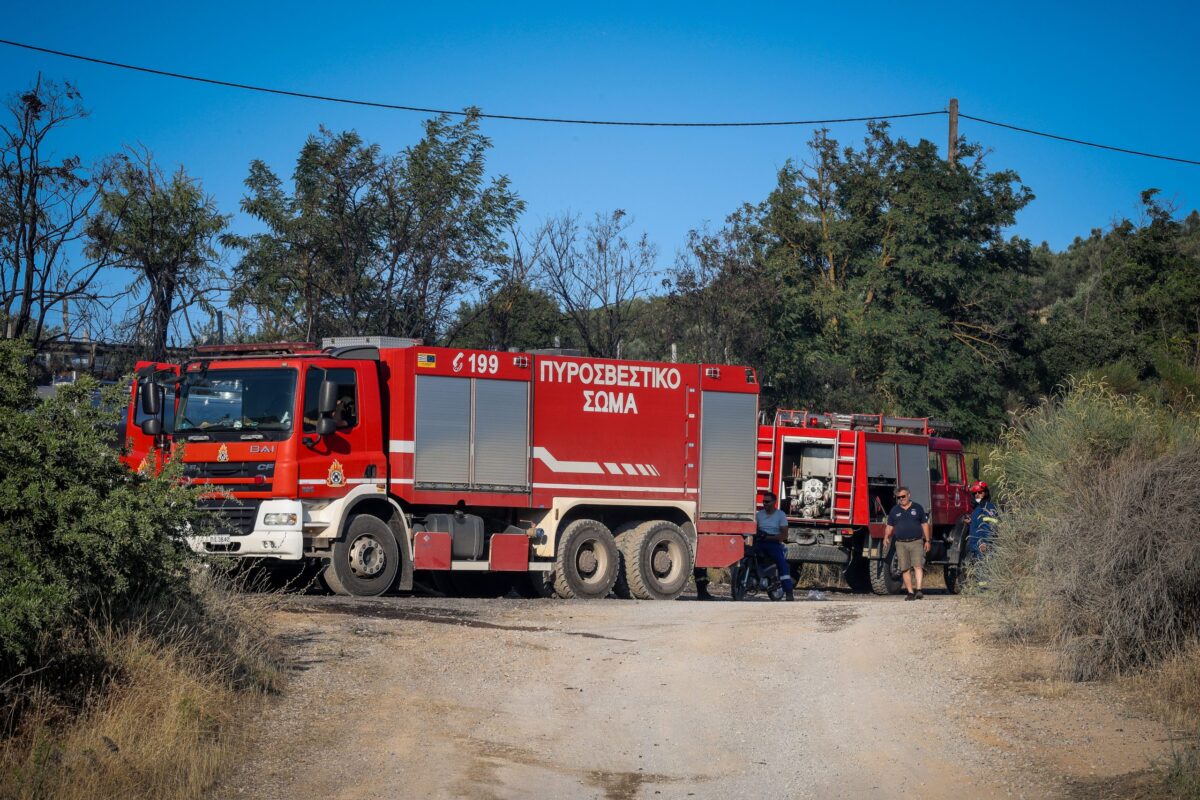 Πυρκαγιά σε δασική έκταση στο Κόμιτο Καρύστου