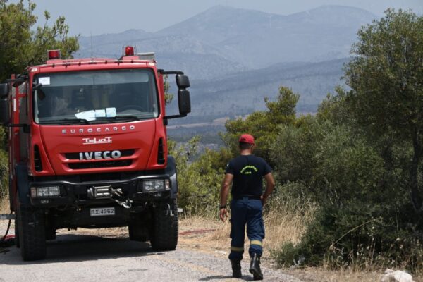 Πυρκαγιά στο Κερασοχώρι Αγράφων – Επιχειρούν επίγειες και εναέριες δυνάμεις