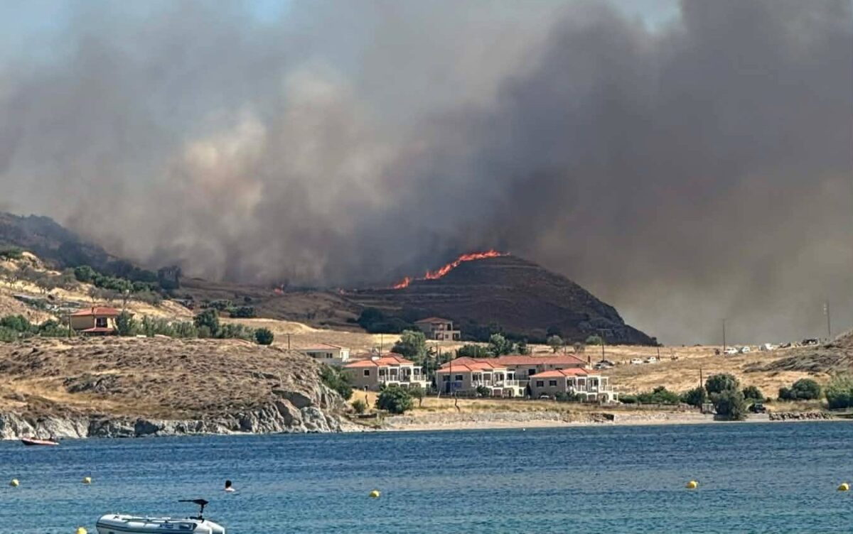 Λήμνος: Συνελήφθη ο αντιδήμαρχος Περιβάλλοντος και Ποιότητας Ζωής για τη φωτιά στην περιοχή Θάνος