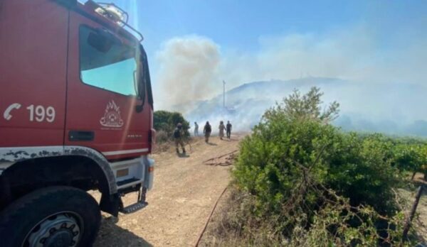 Λακωνία: Πυρκαγιά σε δασική έκταση στον Άγιο Νικόλαο