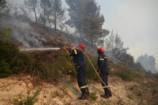 Φωτιά σε δασική έκταση στο Δροσοχώρι Τρικάλων