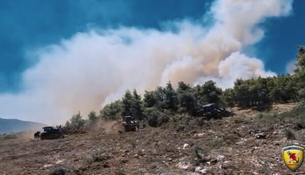 Εύβοια: Πυρκαγιά σε χαμηλή βλάστηση στην Ιστιαία