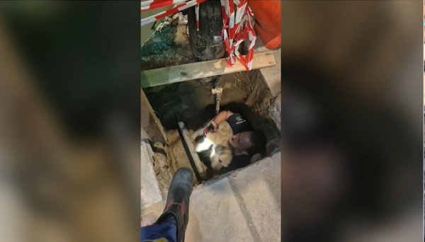 Θεσσαλονίκη: Σκύλος έπεσε σε τρύπα βάθους τριών μέτρων – Επιχείρηση διάσωσης από την Πυροσβεστική