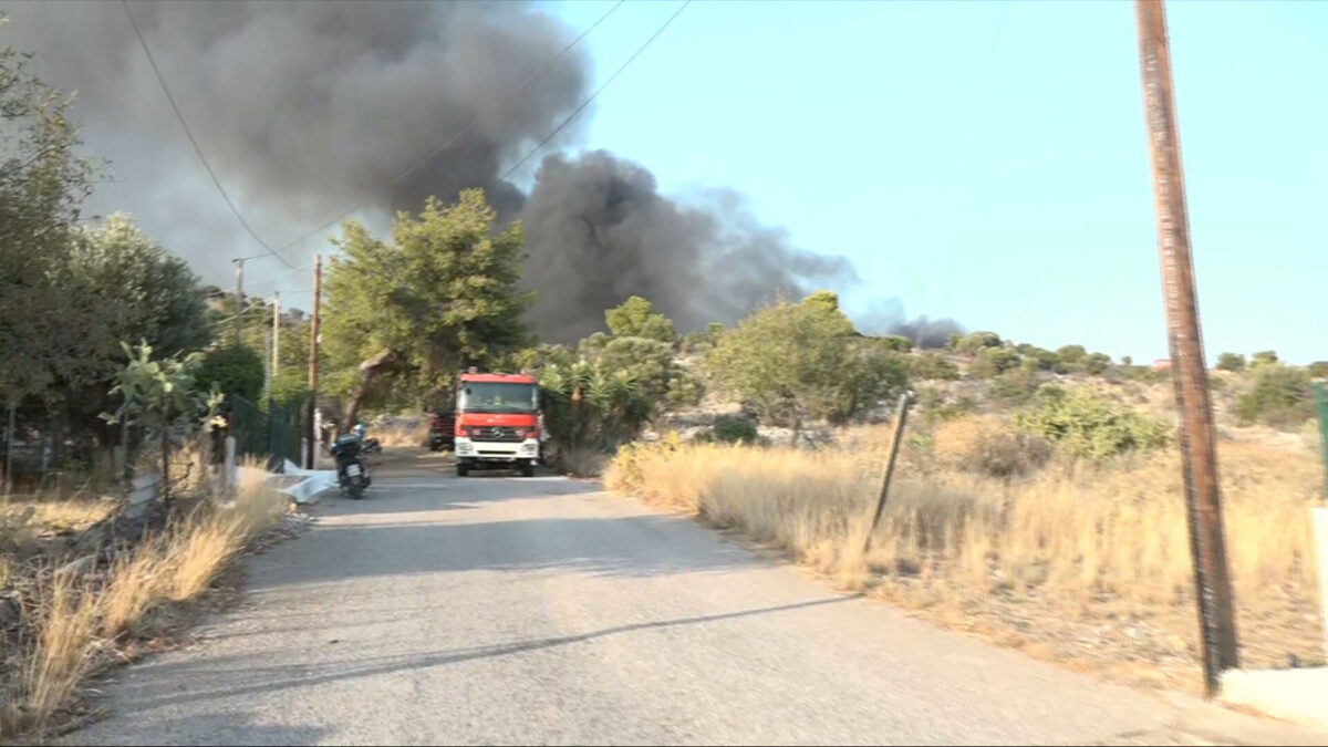 Πυρκαγιά σε αποθηκευτικό χώρο στο Κεντρί Ιεράπετρας