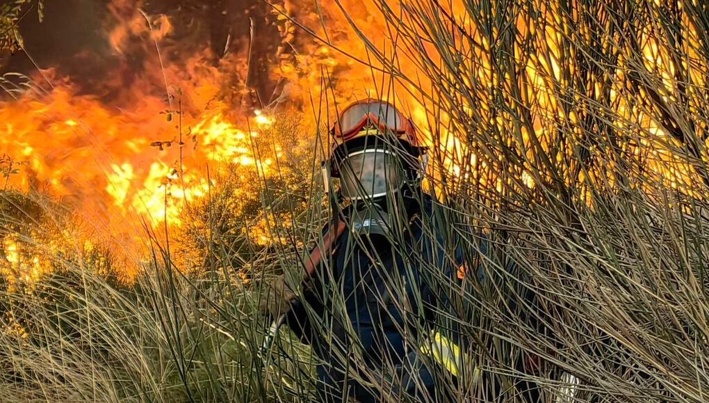 Δύο συλλήψεις για εμπρησμό από αμέλεια σε Χαλκιδική και Έβρο