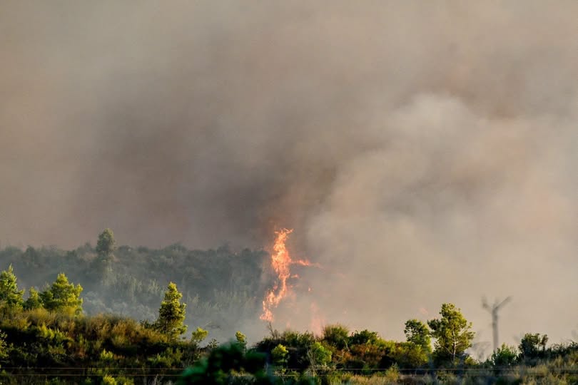 Πυρκαγιά σε αγροτοδασική έκταση στα Διάσελλα Ηλείας – «112» για επαγρύπνηση