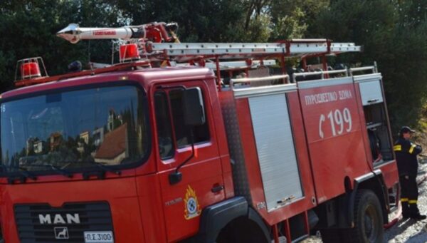 Φωτιά στην περιοχή Πετσακοί Αχαΐας