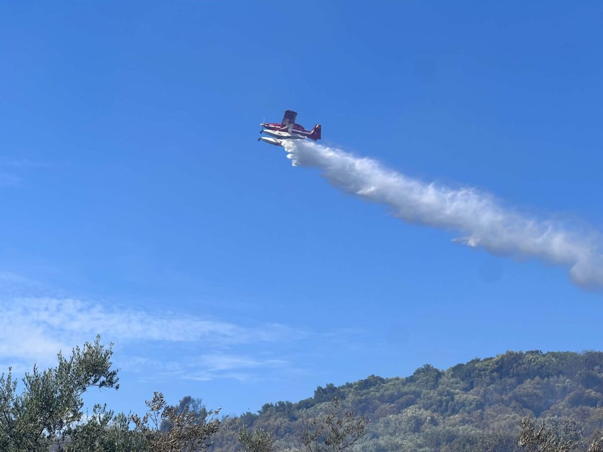 Φωτιά στο Ψάρι Μεσσηνίας: Βελτιωμένη η εικόνα – Επιχειρούν ισχυρές δυνάμεις της Πυροσβεστικής